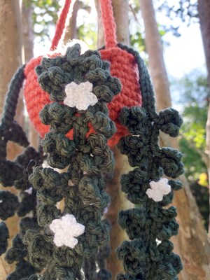 Crochet Hanging Plant - image2